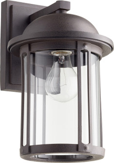 7 in. Lanterns One Light Outdoor Lantern in Oiled Bronze (19|70686)