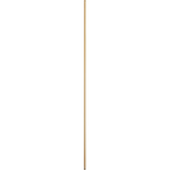 60 in. Downrods Downrod in Aged Brass (19|66080)