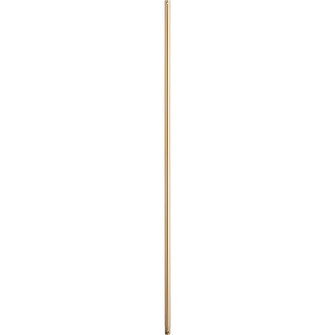 48 in. Downrods Downrod in Aged Brass (19|64880)