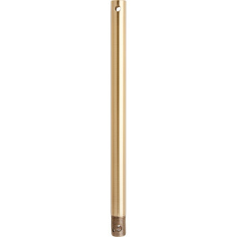 12 in. Downrods Downrod in Aged Brass (19|61280)