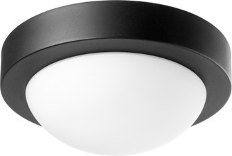 3505 Contempo Ceiling Mounts One Light Wall Mount in Textured Black (19|3505969)