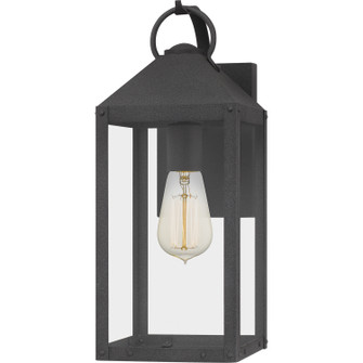 Thorpe One Light Outdoor Wall Mount in Mottled Black (10|TPE8406MB)