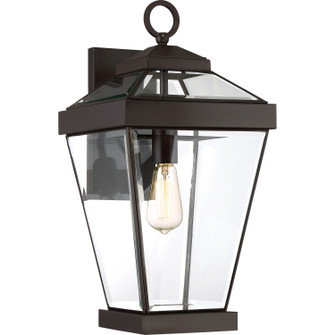 Ravine One Light Outdoor Wall Lantern in Western Bronze (10|RAV8410WT)