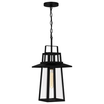 Devonport One Light Outdoor Hanging Lantern in Matte Black (10|DEV1910MBK)