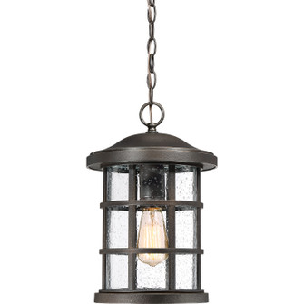 Crusade One Light Outdoor Hanging Lantern in Palladian Bronze (10|CSE1910PN)