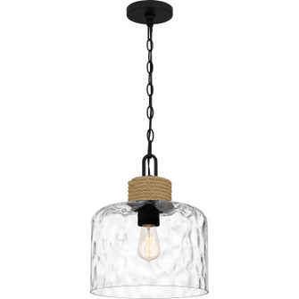 Baltic One Light Mini Pendant in Matte Black (10|BTC1512MBK)