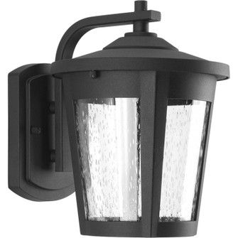 East Haven Led LED Wall Lantern in Black (54|P60783130K9)
