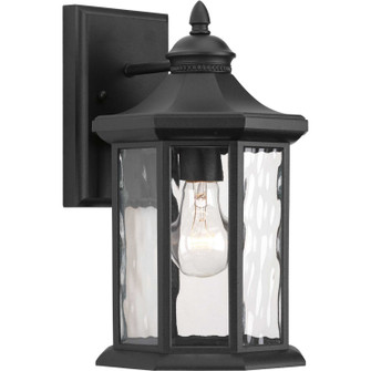 Edition One Light Wall Lantern in Black (54|P607131)