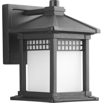 Merit One Light Wall Lantern in Black (54|P600031)