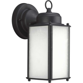 Roman Coach One Light Wall Lantern in Black (54|P598531MD)
