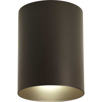 Cylinder One Light Outdoor Ceiling Mount in Antique Bronze (54|P577420)