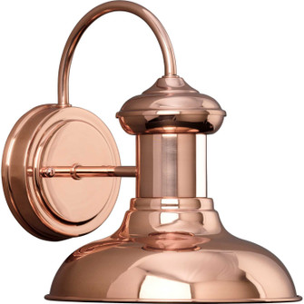 Brookside One Light Wall Lantern in Cognac (54|P572114)