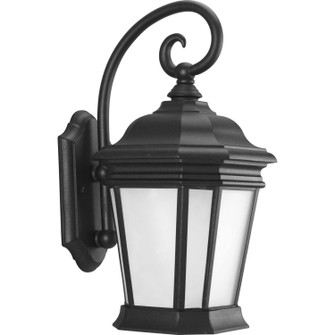 Crawford One Light Wall Lantern in Black (54|P568631MD)