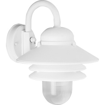 Newport One Light Wall Lantern in White (54|P564530)