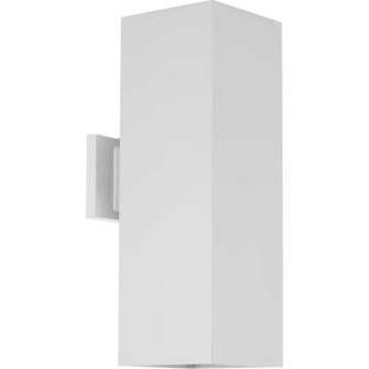 Led Squares LED Wall Lantern in White (54|P56443030K)