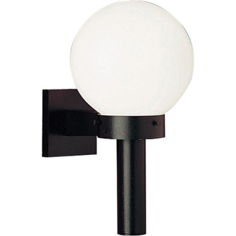 Globe One Light Wall Lantern in Black (54|P562660)