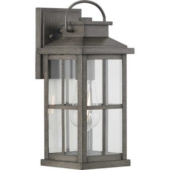 Williamston One Light Wall Lantern in Antique Pewter (54|P560265103)