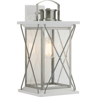 Barlowe One Light Wall Lantern in Stainless Steel (54|P560158135)