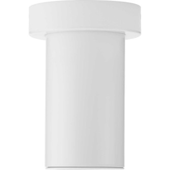 3In Cylinders LED Ceiling Mount in White (54|P55013903030)