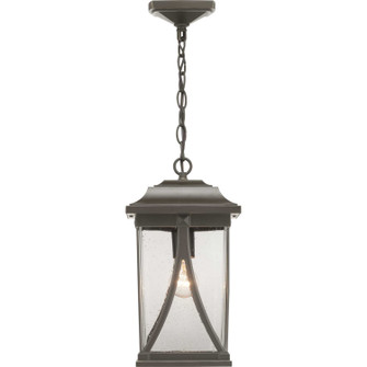 Abbott One Light Hanging Lantern in Antique Bronze (54|P550040020)