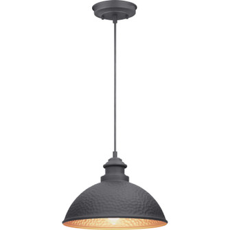 Englewood One Light Hanging Lantern in Black (54|P550032031)