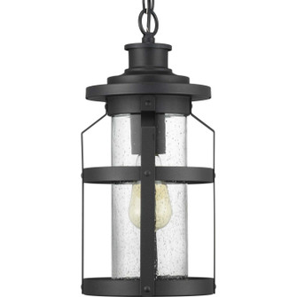 Haslett One Light Hanging Lantern in Black (54|P550031031)