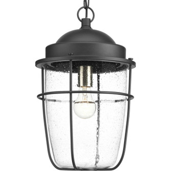 Holcombe One Light Hanging Lantern in Black (54|P550025031)