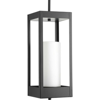 Patewood One Light Hanging Lantern in Black (54|P550024031)