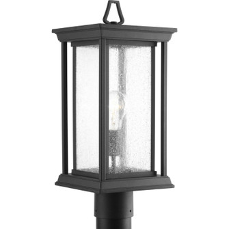 Endicott One Light Post Lantern in Black (54|P540031)