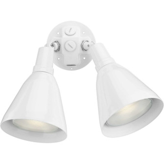 Par Lampholder Two Light Wall Lantern in White (54|P520330)