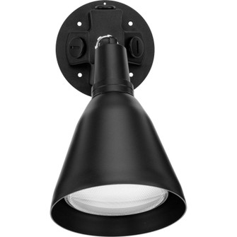 Par Lampholder One Light Wall Lantern in Black (54|P520231)