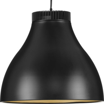Radian Led LED Pendant in Matte Black (54|P50037331M30)
