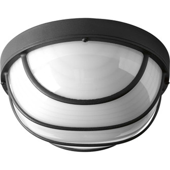 Bulkheads LED LED Flush Mount in Black (54|P36503130K9)