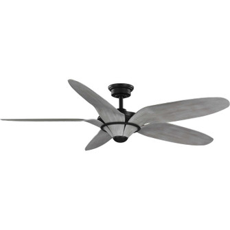 Mesilla 60'' Ceiling Fan in Flat Black (54|P250073182)