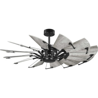 Springer 52'' Ceiling Fan in Matte Black (54|P25006531M)