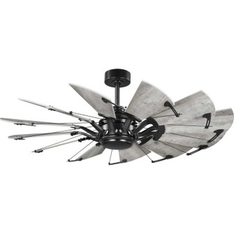 Springer 52''Ceiling Fan in Matte Black (54|P25006531M)