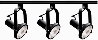 Track Lighting Kits Black Three Light Track Kit in Black (72|TK317)