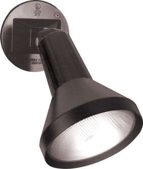 One Light Floodlight in Black (72|SF77700)