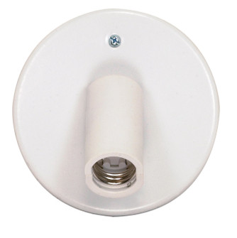 One Light Ceiling Swivel Fixture (72|SF77601)