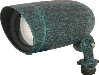 One Light Floodlight in Antique Verdigris (72|SF76655)