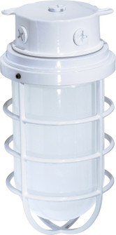 One Light Ceiling Mount in White (72|SF76618)
