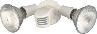 Two Light Floodlight in White (72|SF76502)