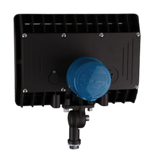 Photocell Floods in Blue (72|86212)