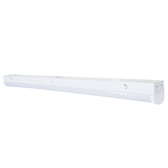 LED Linear Strip in White (72|65699)