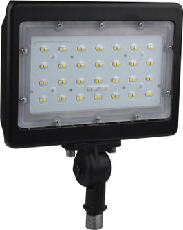 LED Flood Light in Bronze (72|65538R1)