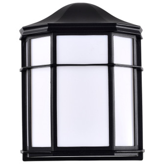 LED Cage Lantern Fixture in Black (72|621397)