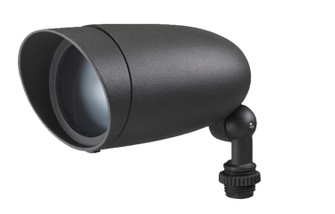 LED Landscape Flood in Dark Gray (72|621203)