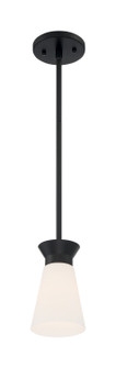 Caleta One Light Mini Pendant in Black (72|607314)
