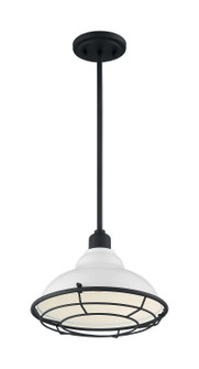 Newbridge One Light Pendant in Gloss White / Black Accents (72|607024)
