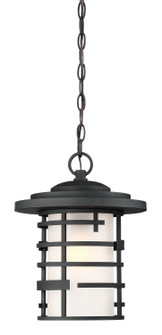 Lansing One Light Hanging Lantern in Textured Black (72|606405)